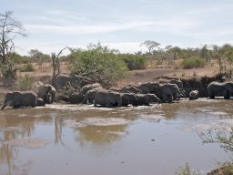 Western_Corridor2009-15